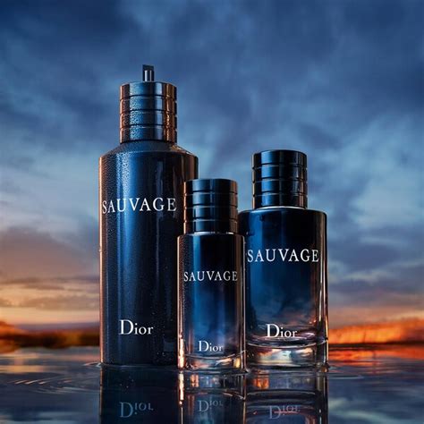 natural ingredient of dior sauvage edt|sephora dior sauvage ingredients.